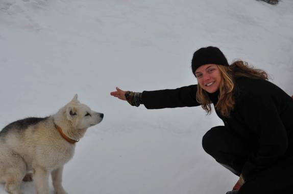 Socializando com um filhote de Greenland Husky, em Ilulissat, na Groelândia